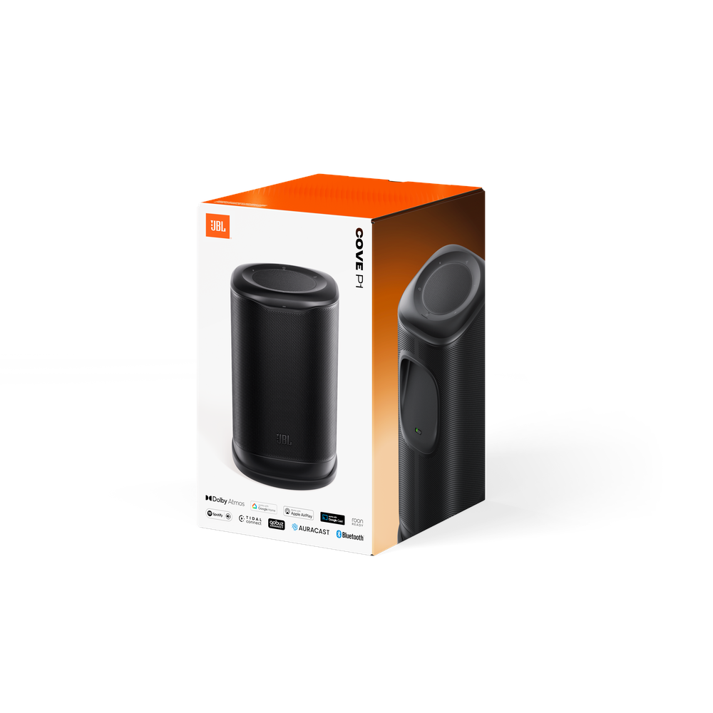 JBL Cove P1 Portable Home WIFI Speaker