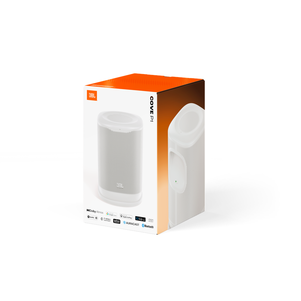 JBL Cove P1 Portable Home WIFI Speaker