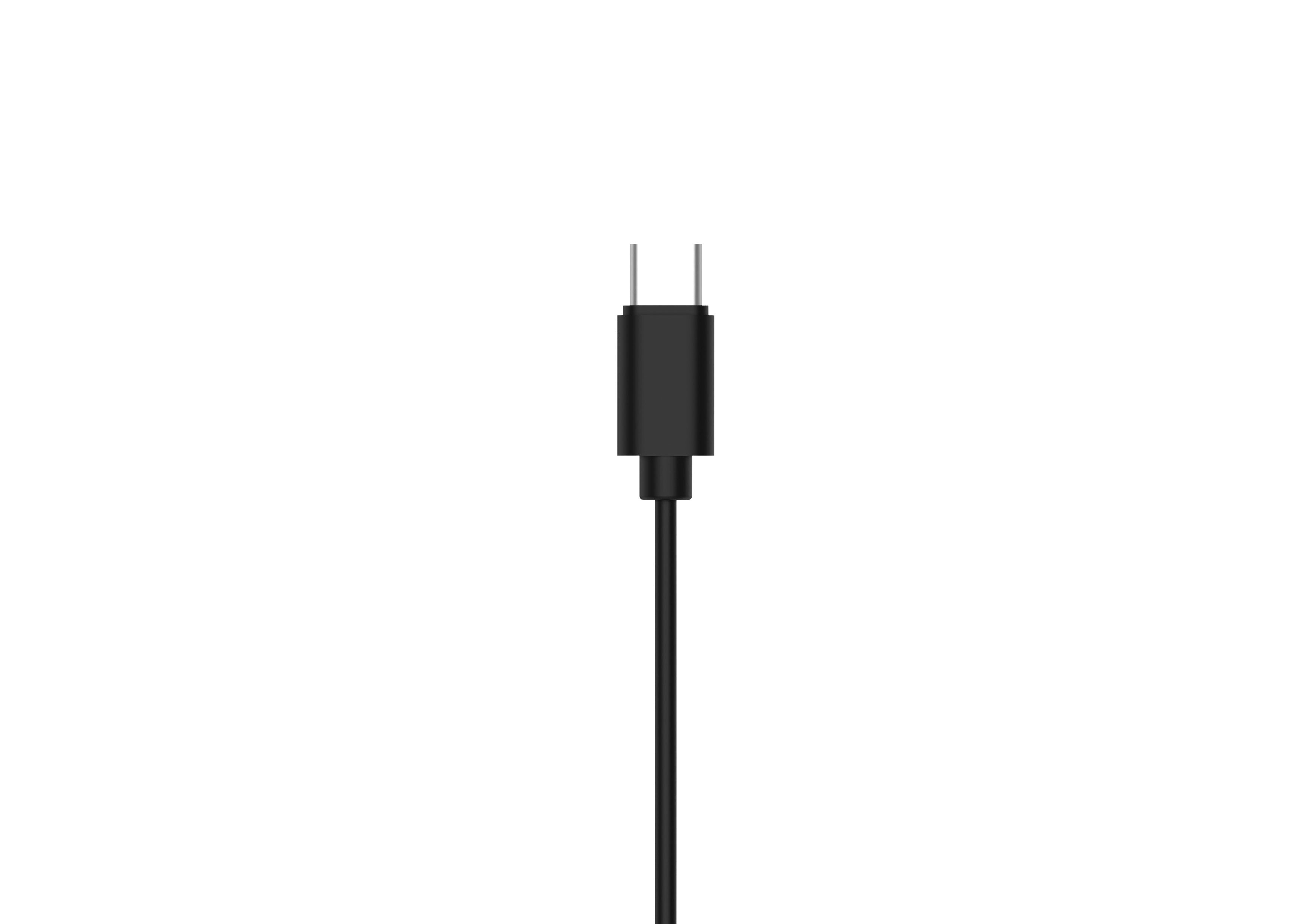 Philips TAE2146 Wired In Ear Headphone USB-C