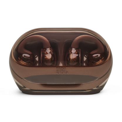 JBL Soundgear Clip TWS Open Ear Headphone