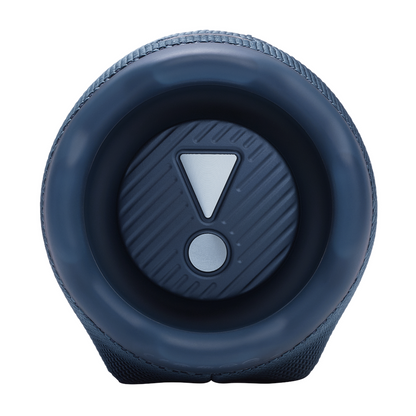 JBL Charge 6 Portable BT Speaker