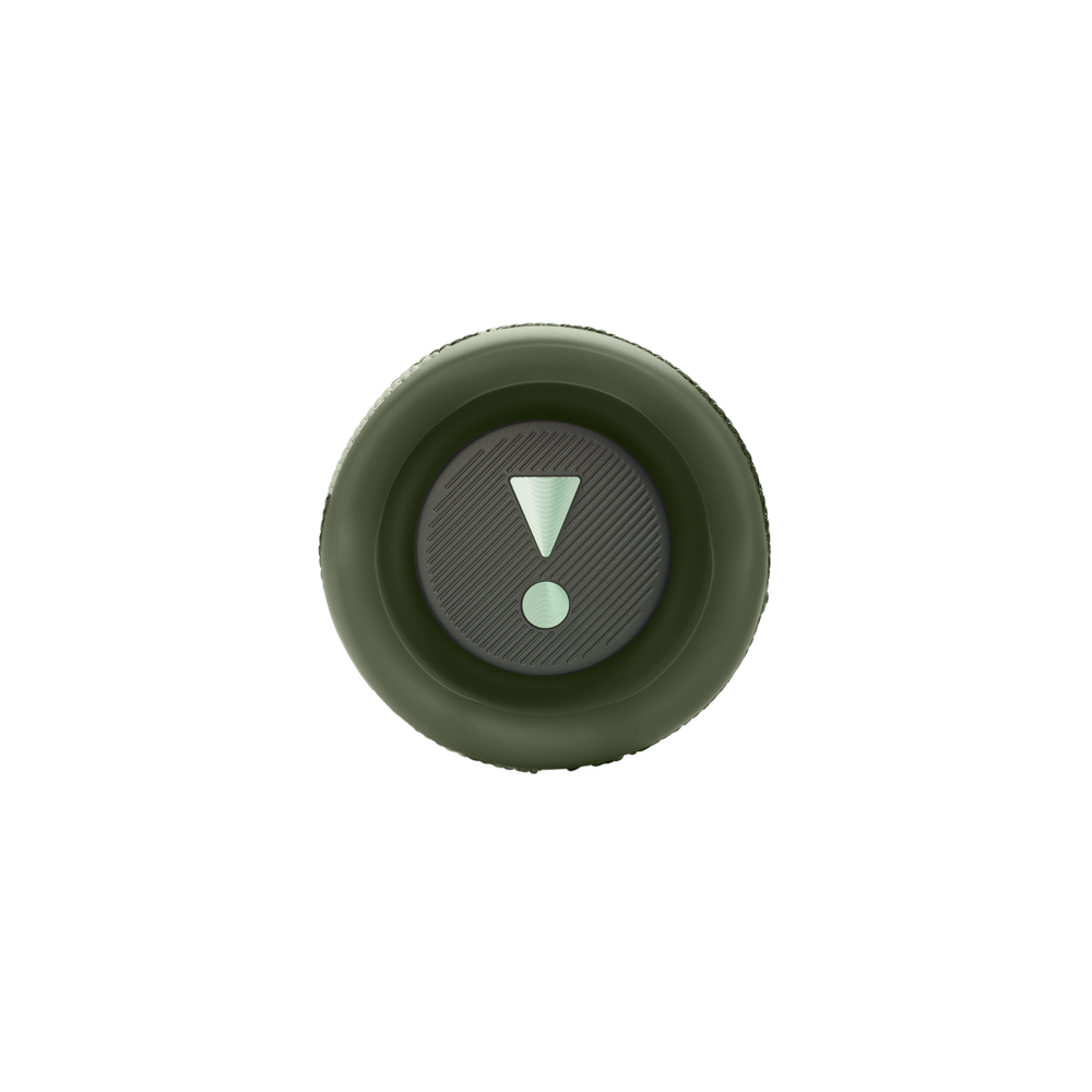JBL Flip 6 Portable BT Speaker