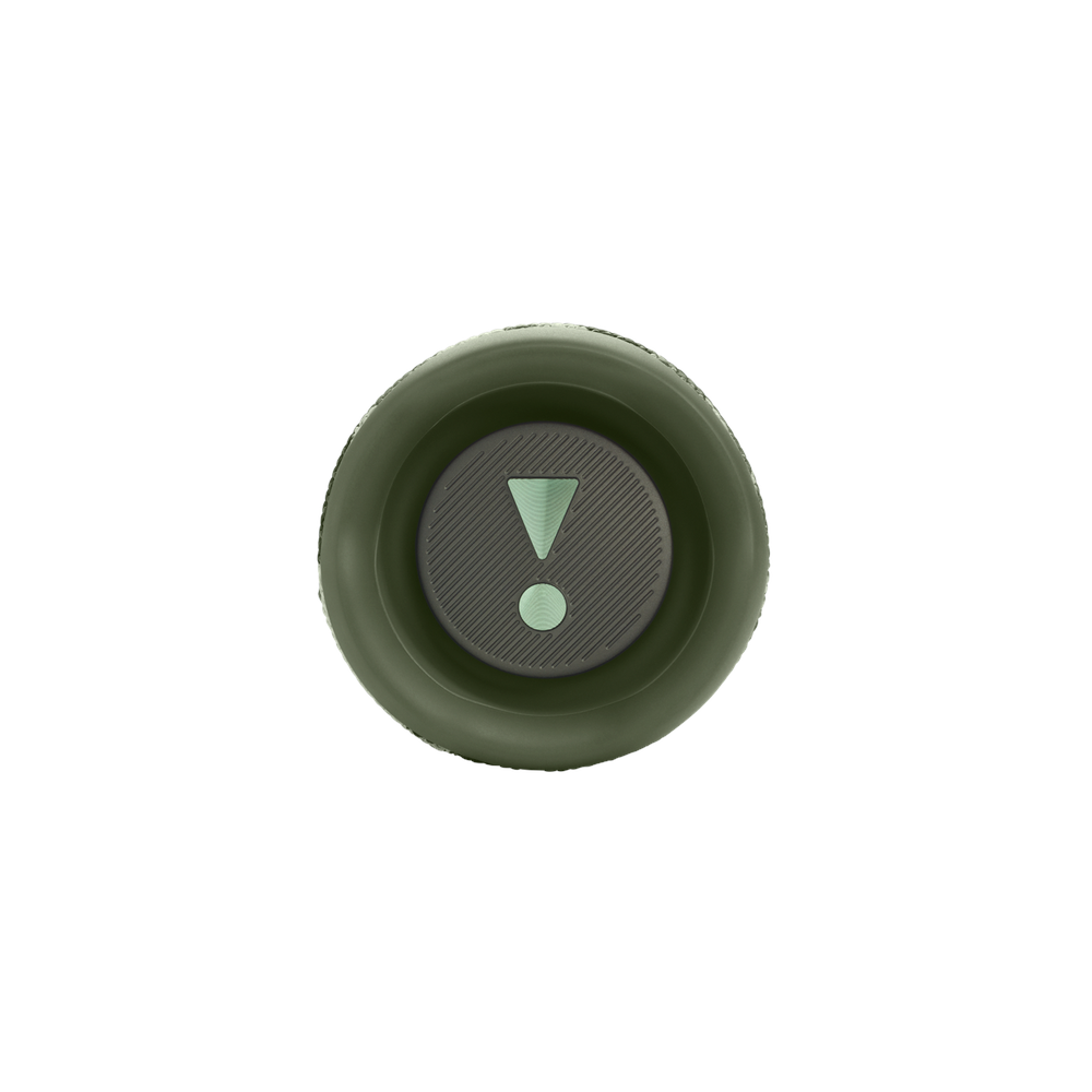 JBL Flip 6 Portable BT Speaker