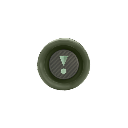JBL Flip 6 Portable BT Speaker