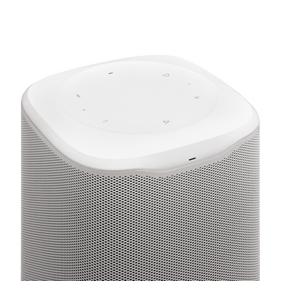 JBL Cove M1 Compact Home WIFI Speaker