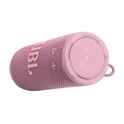 JBL Grip Portable BT Speaker