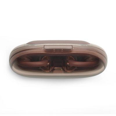 JBL Soundgear Clip TWS Open Ear Headphone