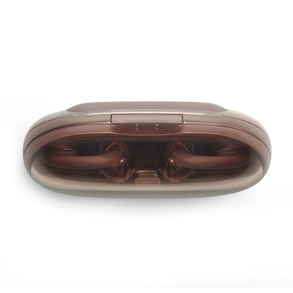 JBL Soundgear Clip TWS Open Ear Headphone