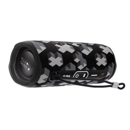 JBL Flip 6 Portable BT Speaker